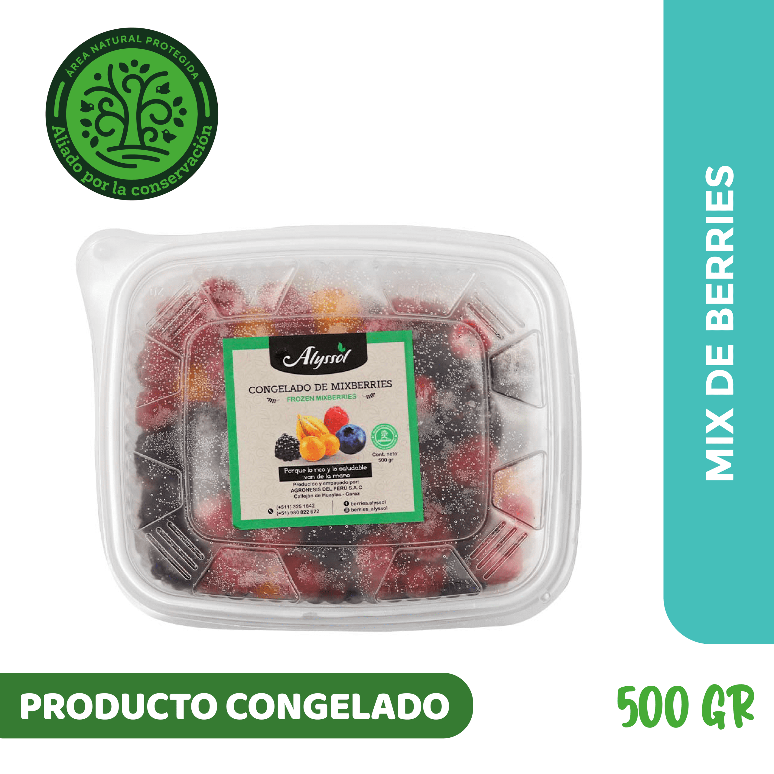 Congelados MIX DE BERRIES 01