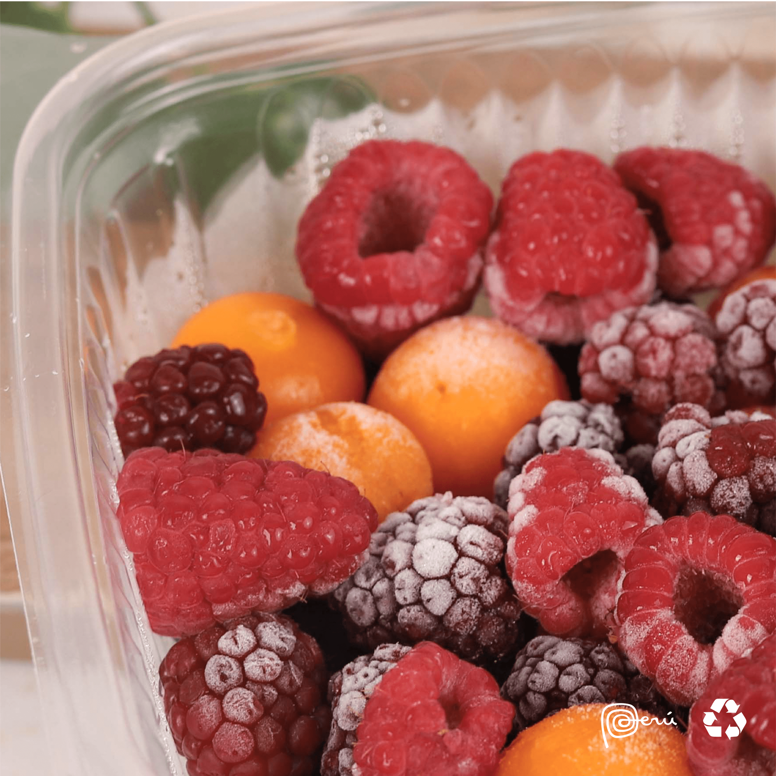 Congelados MIX DE BERRIES 02